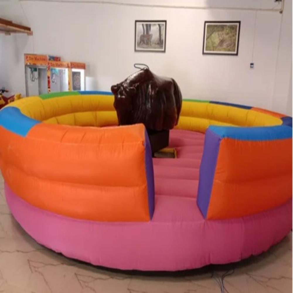 Skf Round Amusement Bull Ride