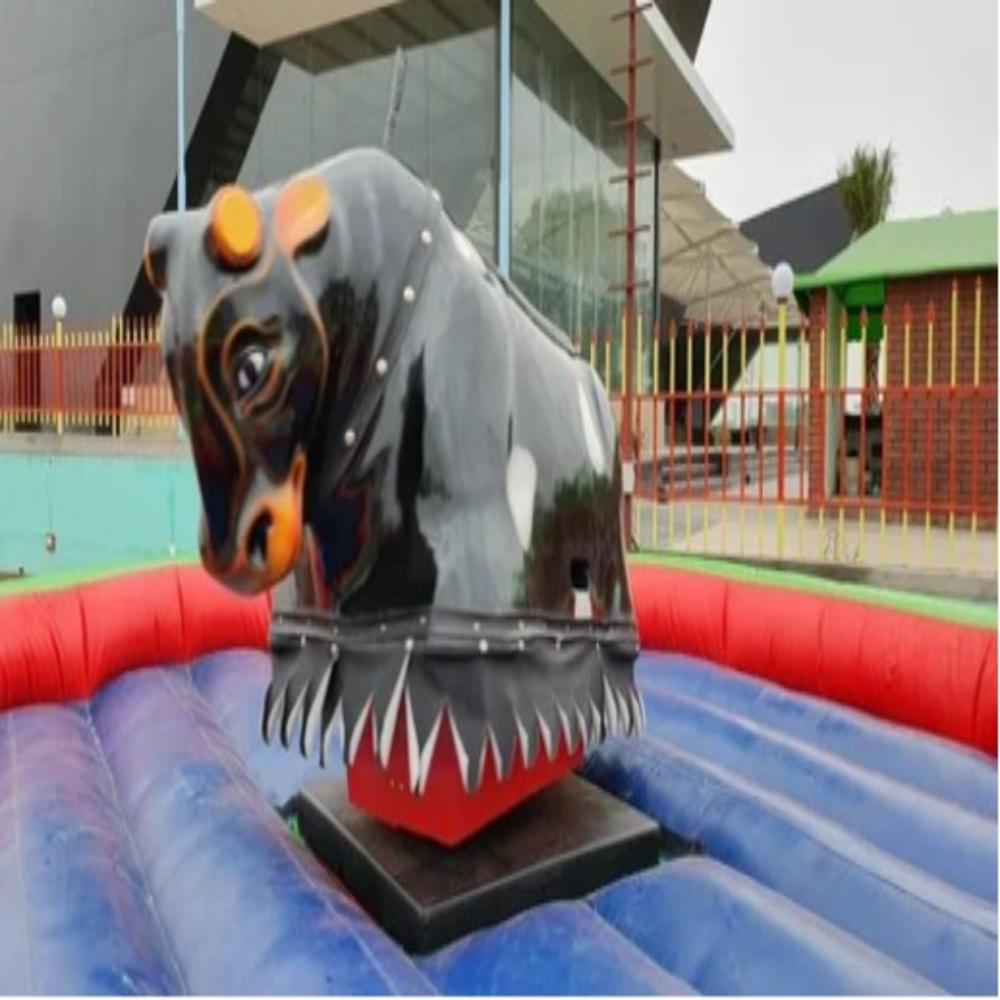 Skf Round Amusement Bull Ride