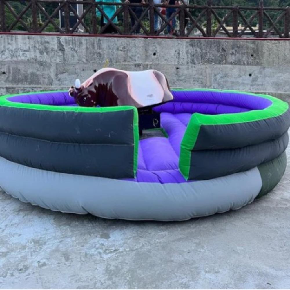 Srf Amusement Park Mechanical Bull Ride