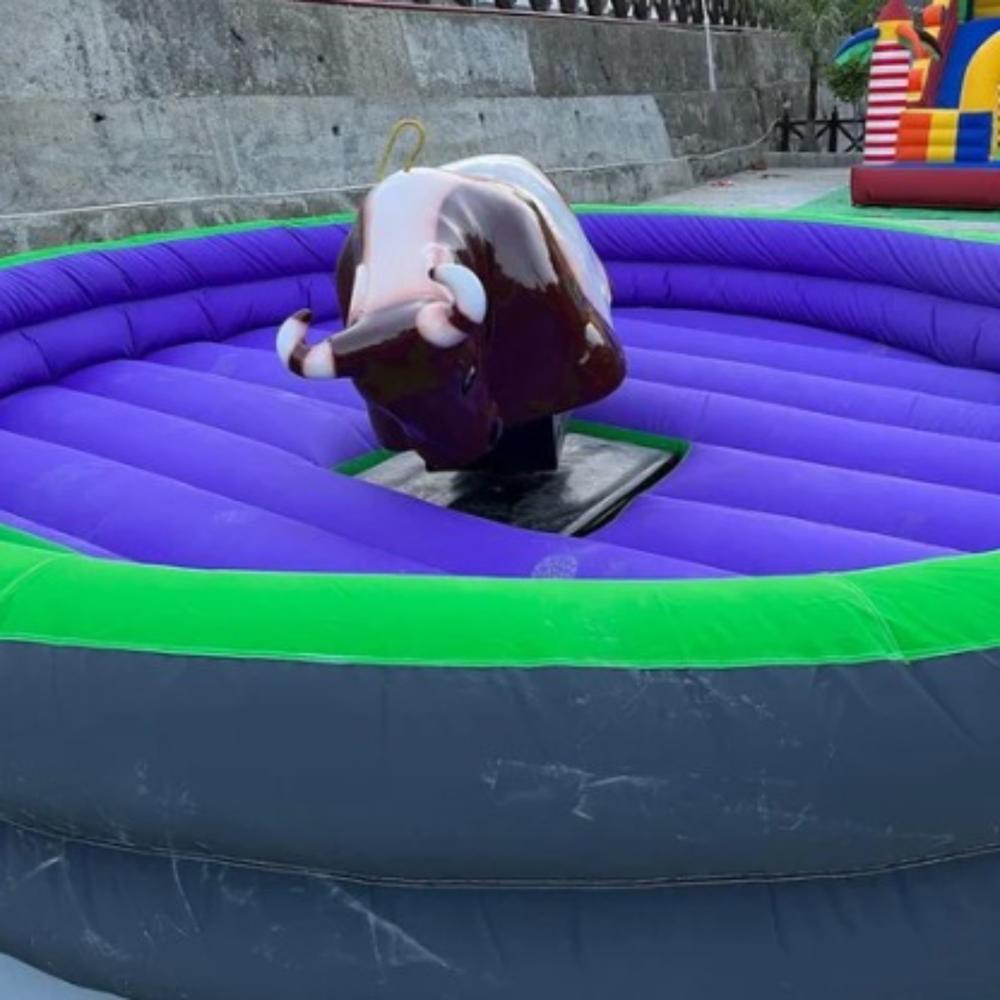 Srf Amusement Park Mechanical Bull Ride
