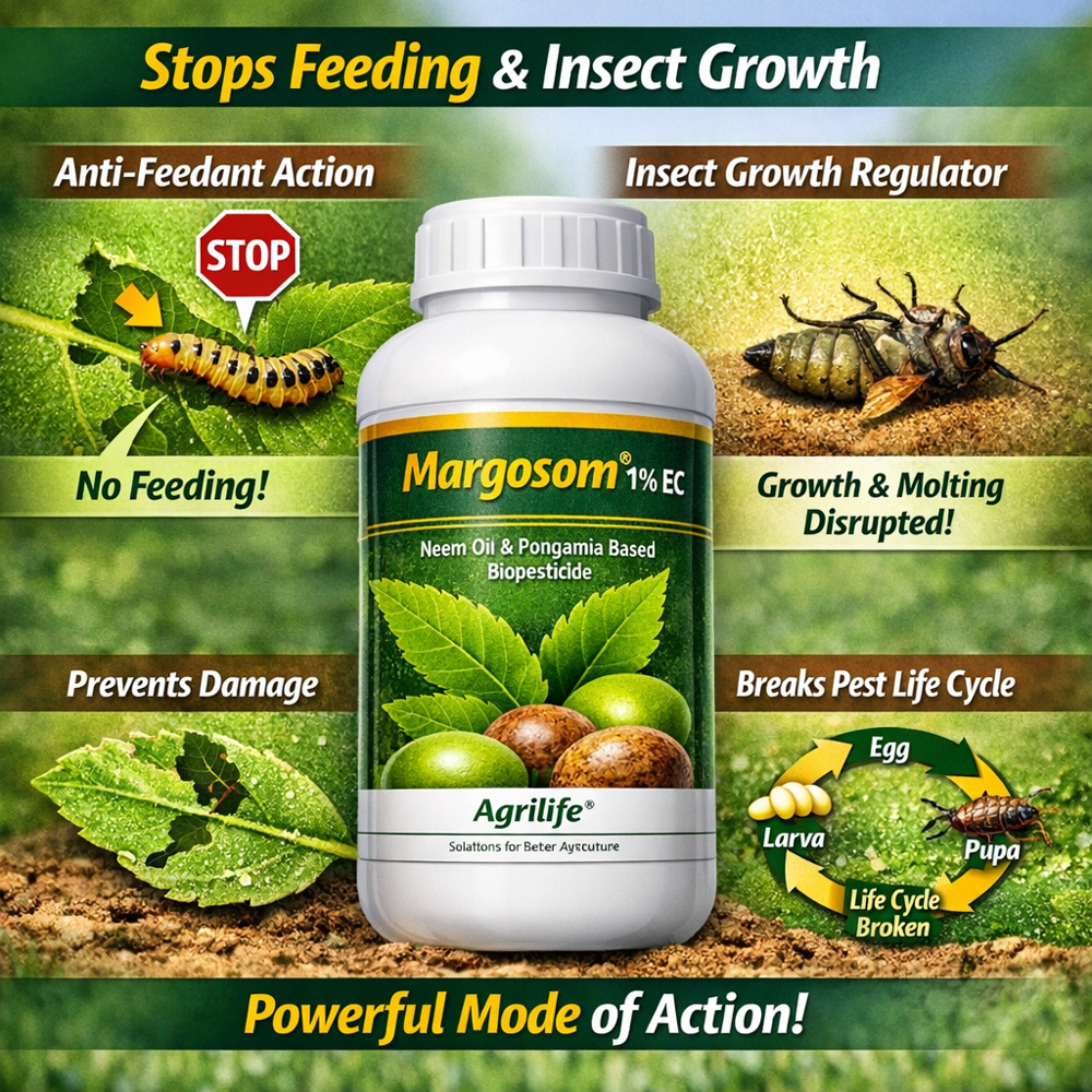 Margosom 1% EC - Azadirachta indica - Neem Oil 10000 PPM