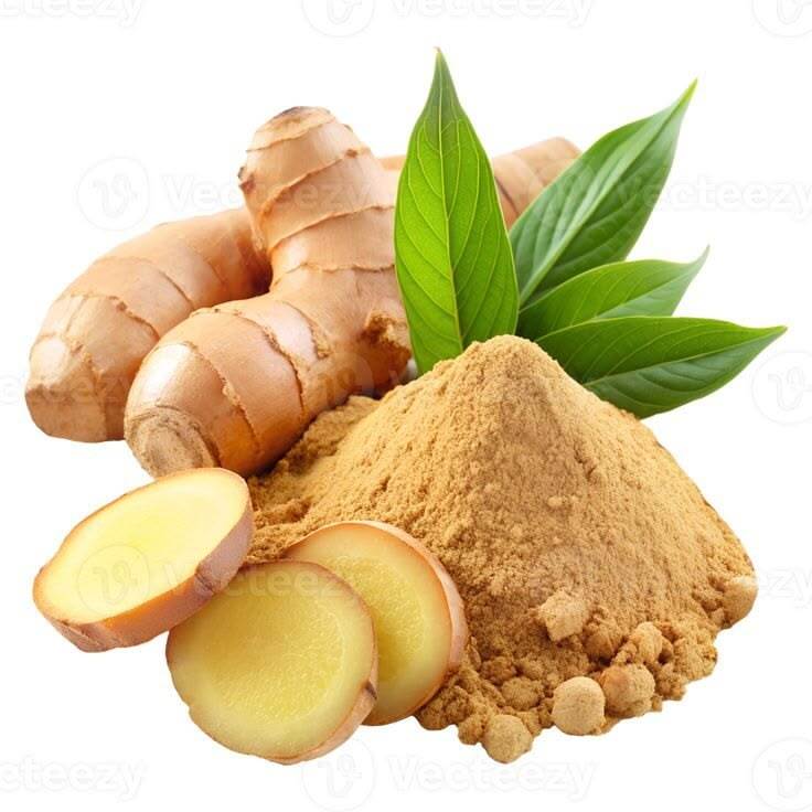 Fresh Organic Ginger Powder