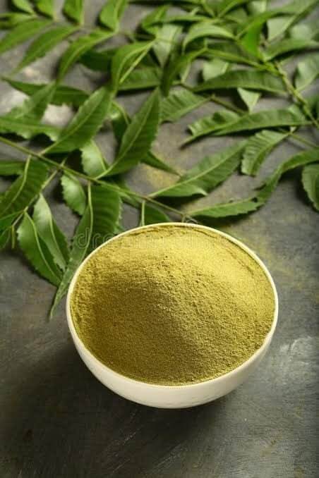 Neem Powder - Cultivation Type: Organic