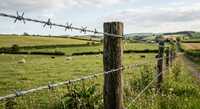 GI Barbed Wire