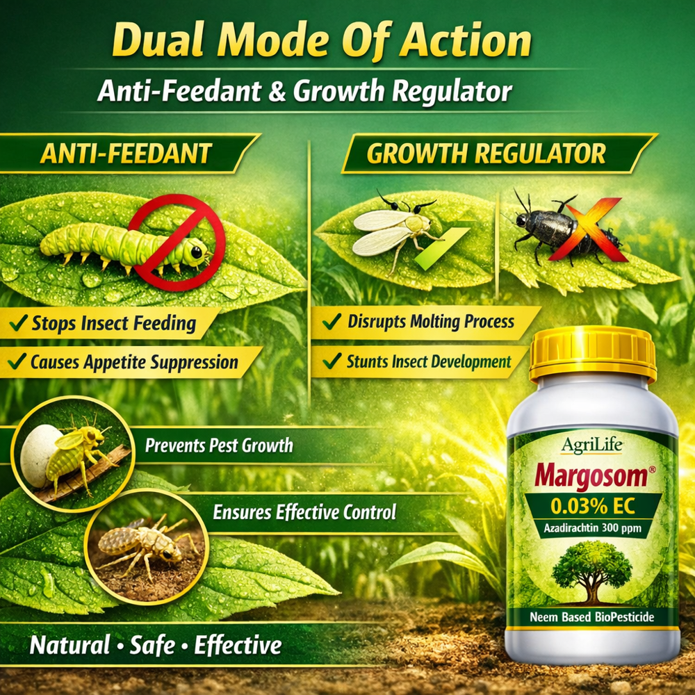 Margosom 0.03 % EC - Azadirachta indica (Neem Oil 300 PPM)