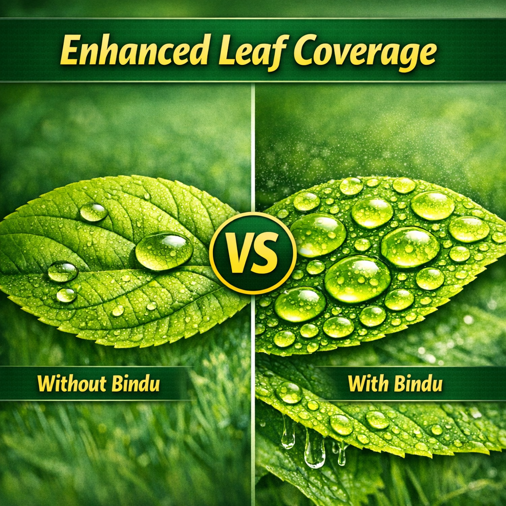 Bindu (Silicon Liquid-All Purpose Spray Adjuvant & Penetrator)
