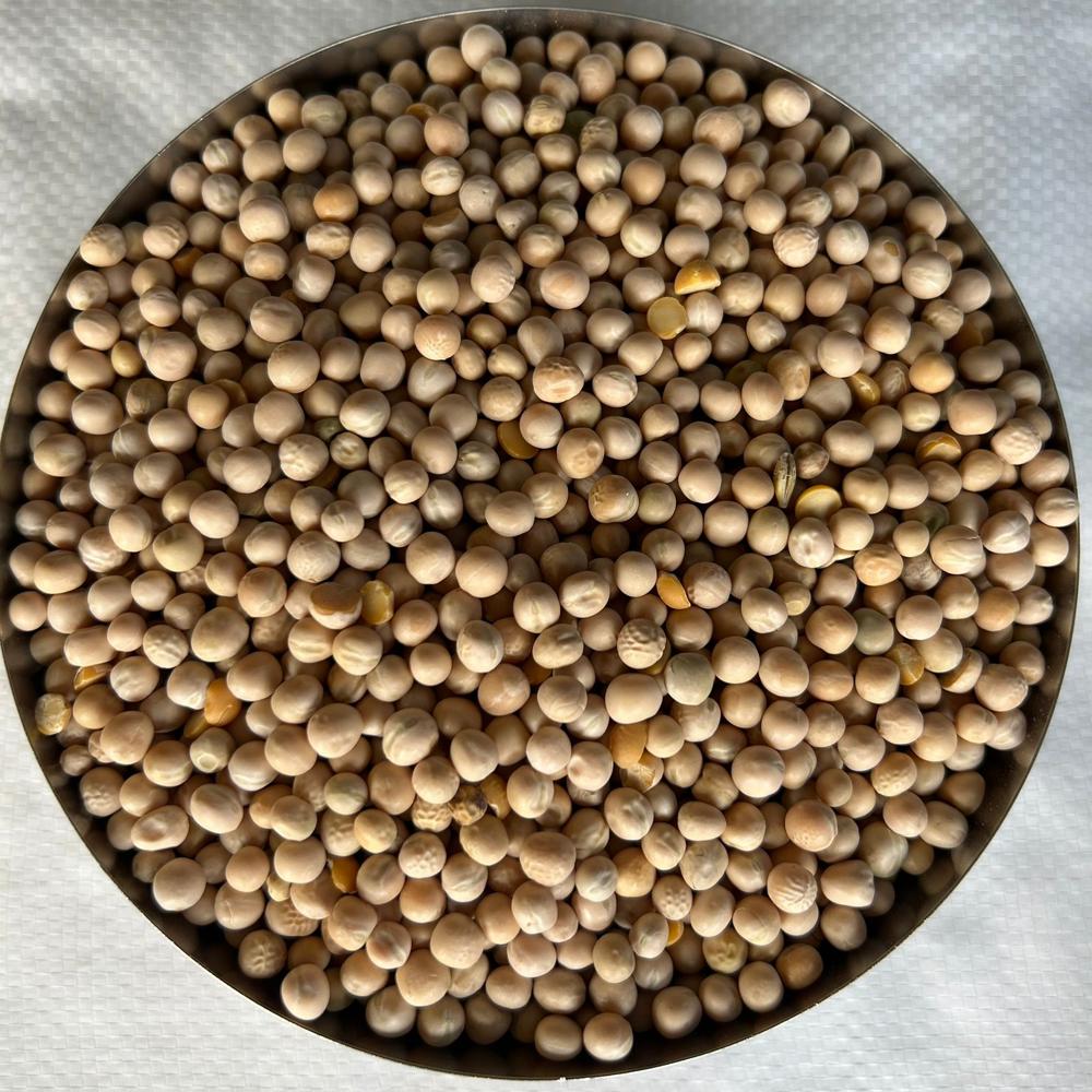 10kg White Peas