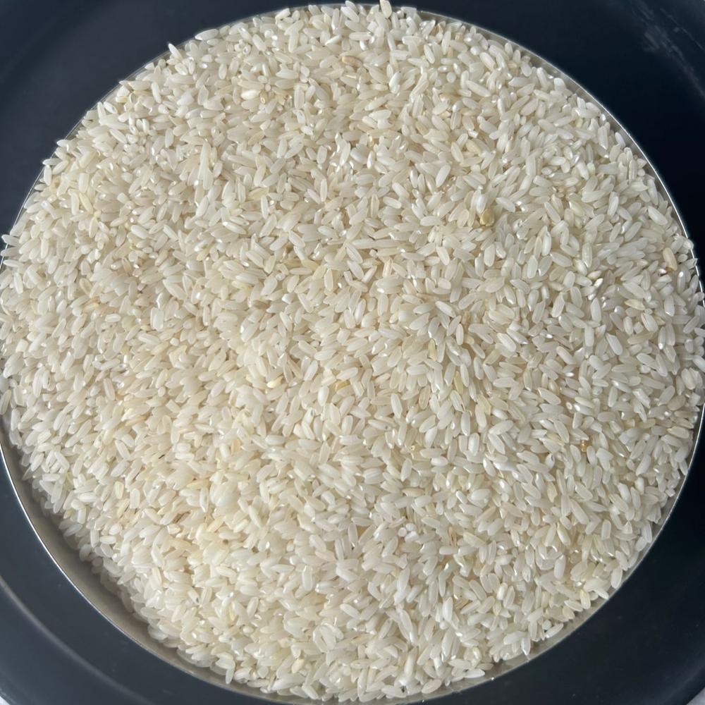 Old Zirasar Kolam Rice