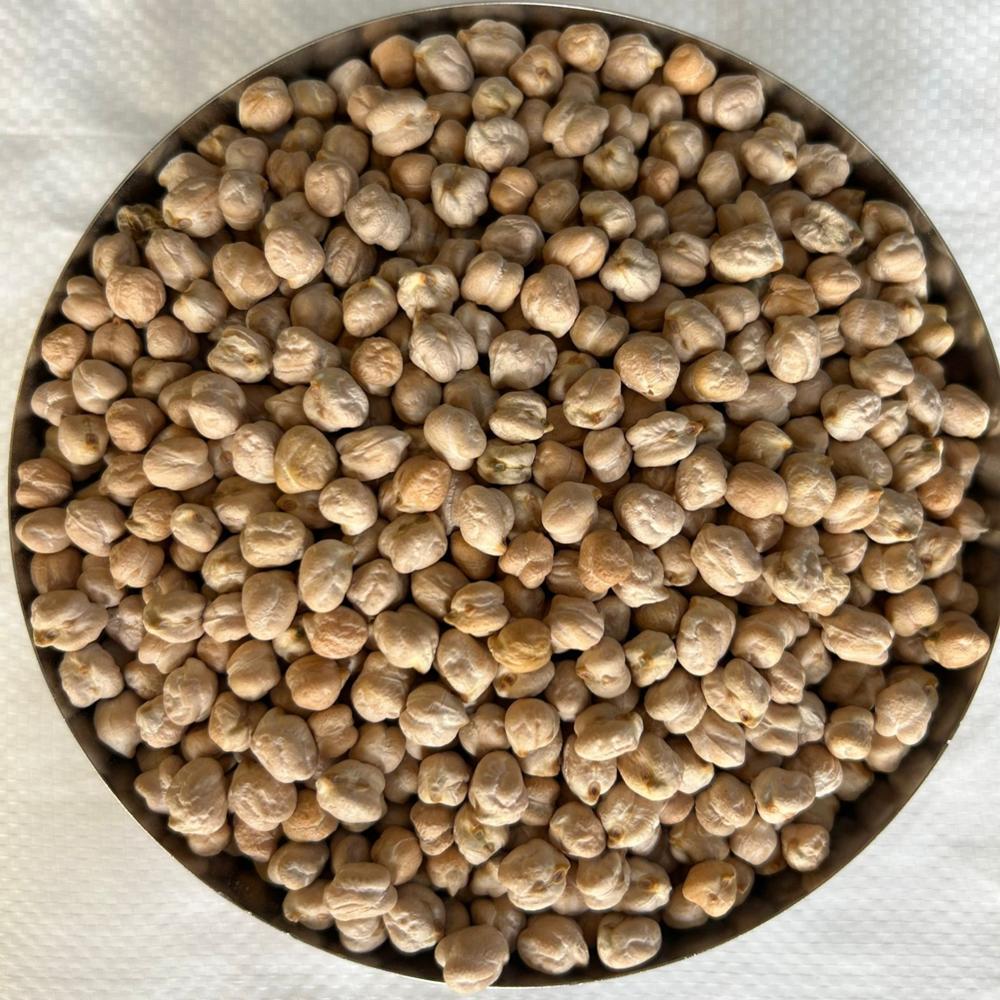 30Kg Kabuli Chana - Admixture (%): Max 1%
