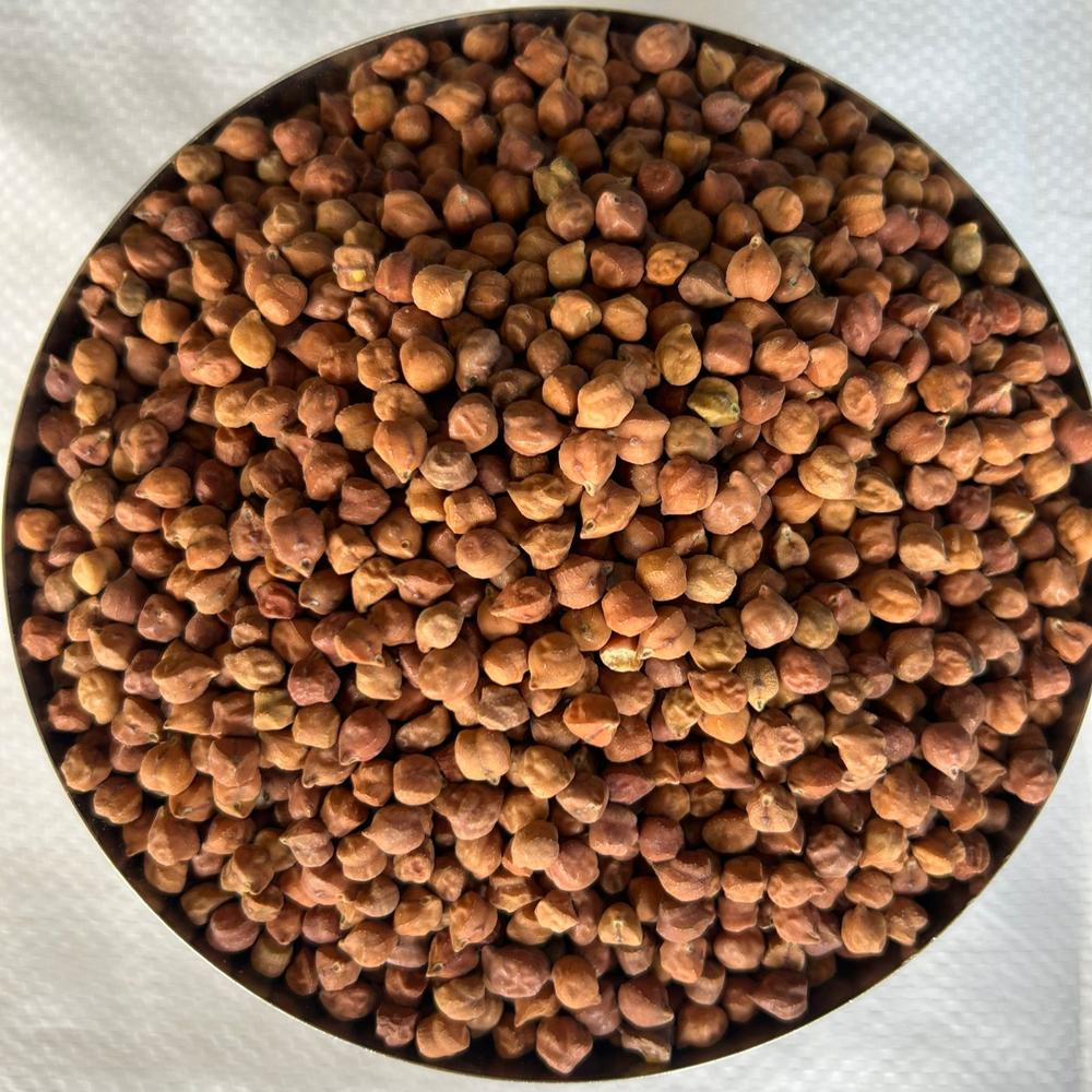 Large Chana - Admixture (%): <1%