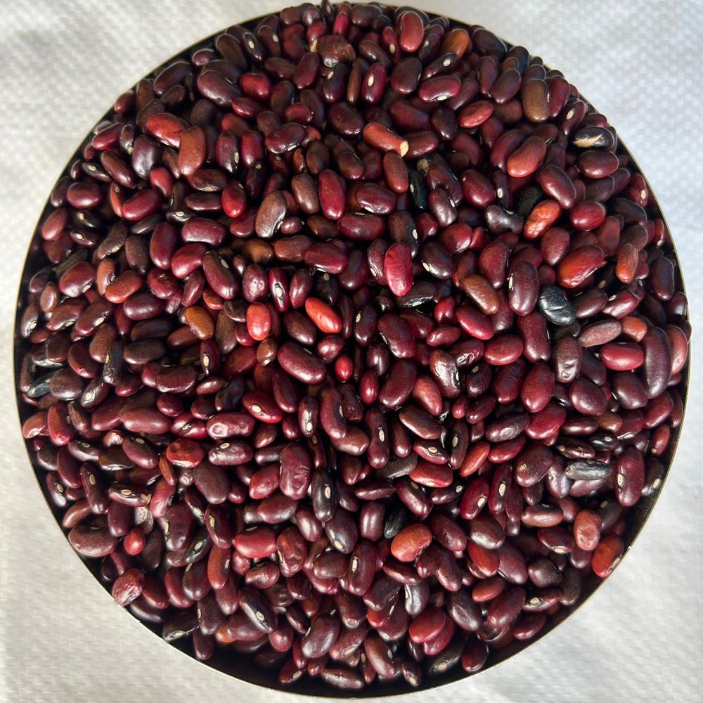10kg Kidney Beans