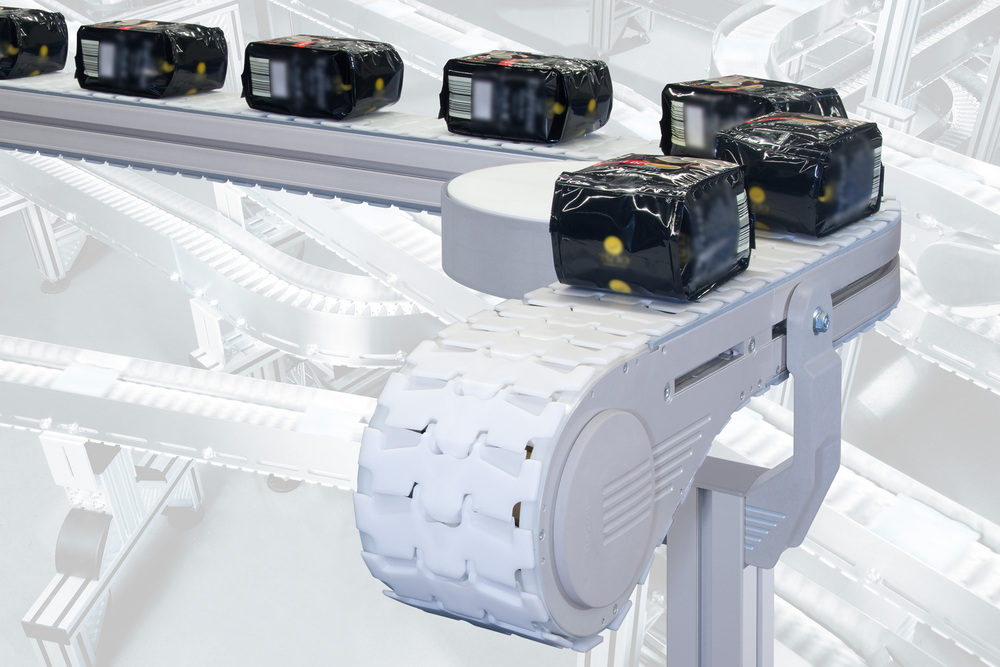 Flexible Chain Conveyor