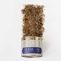 Nidra Good Night Tea