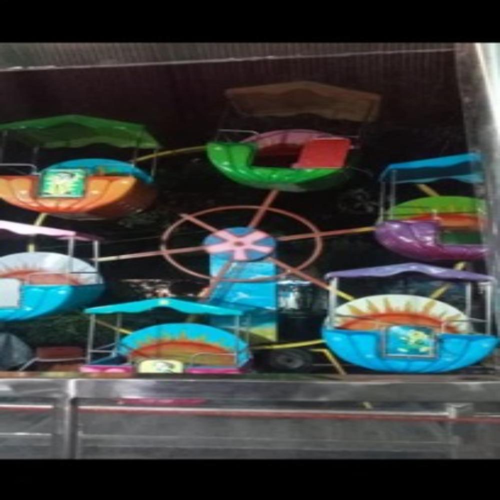 Amusement Park Rides
