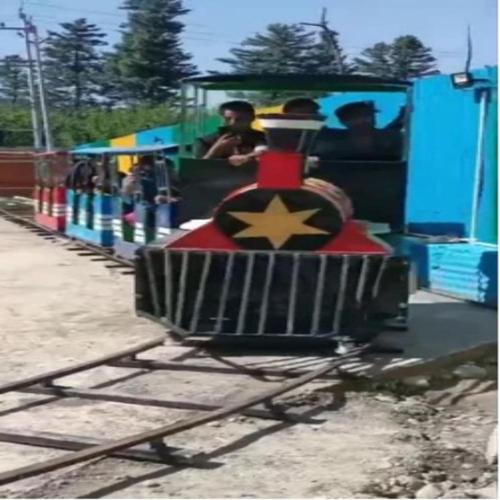 Amusement Park Train