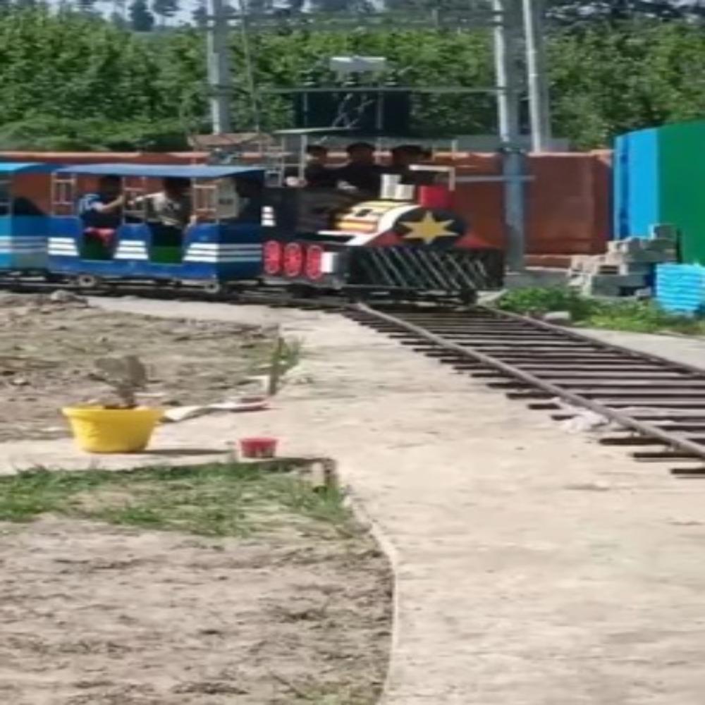 Amusement Park Train
