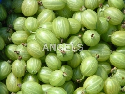 Big Gooseberry