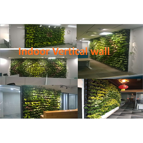 Indoor Vertical Wall