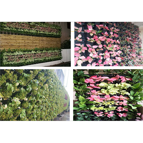 Outdoor Vertical Wall Outdoor Vertical Wall