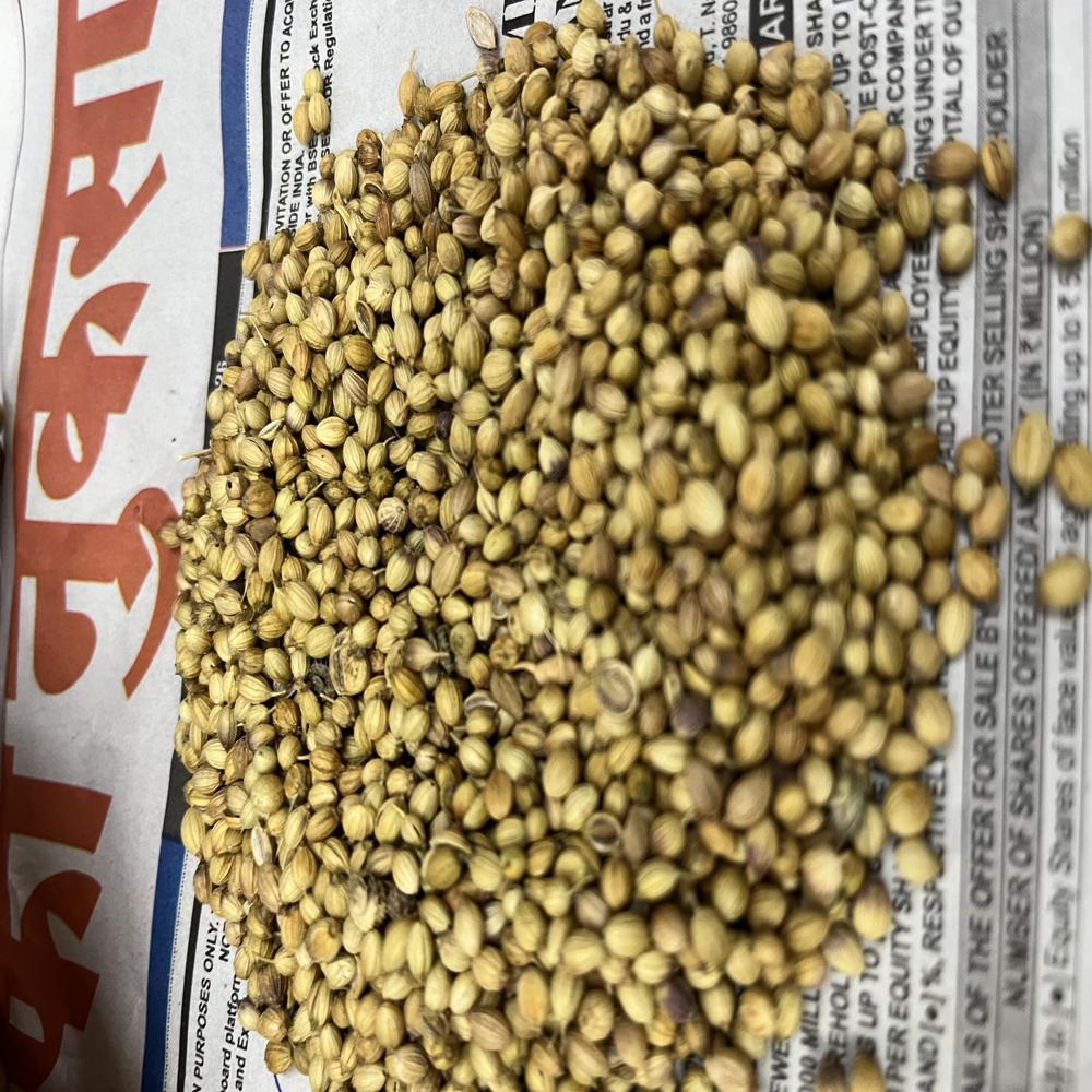 Sabut Dhaniya Seeds