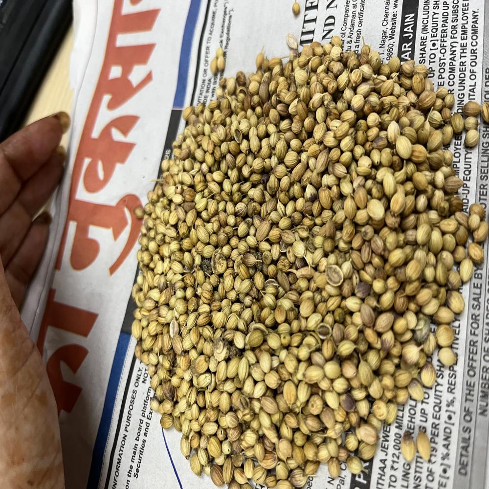 Sabut Dhaniya Seeds