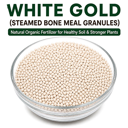 White Gold Steamed Bone Meal Granules