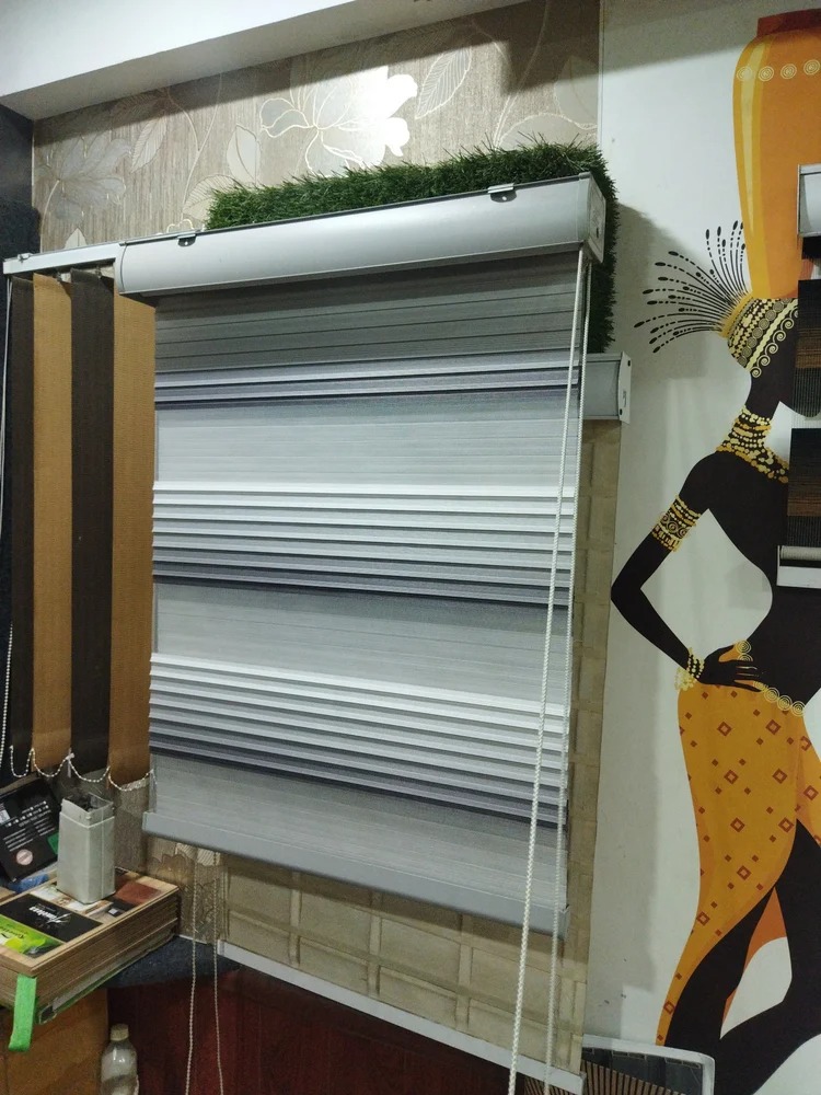 window Zebra Blinds