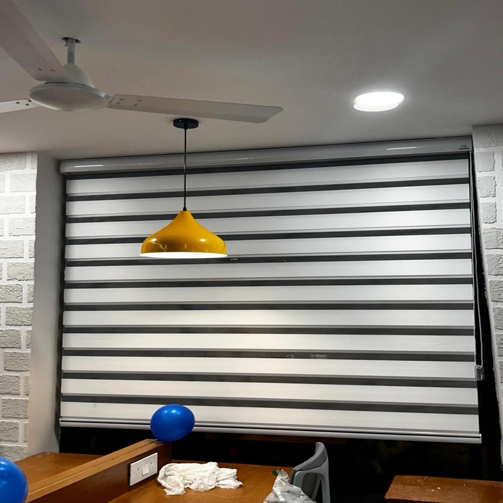 window Zebra Blinds