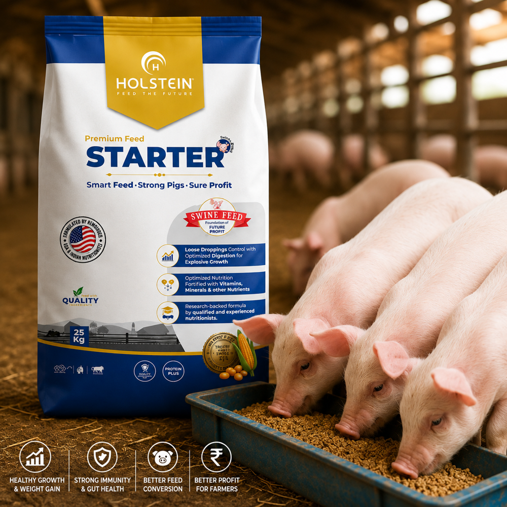 Holstein Pig Starter Feed 25kgfor Healthy Piglet Growth & Development - Admixture (%): 23