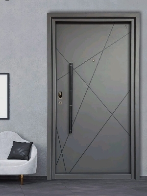 Steel Door