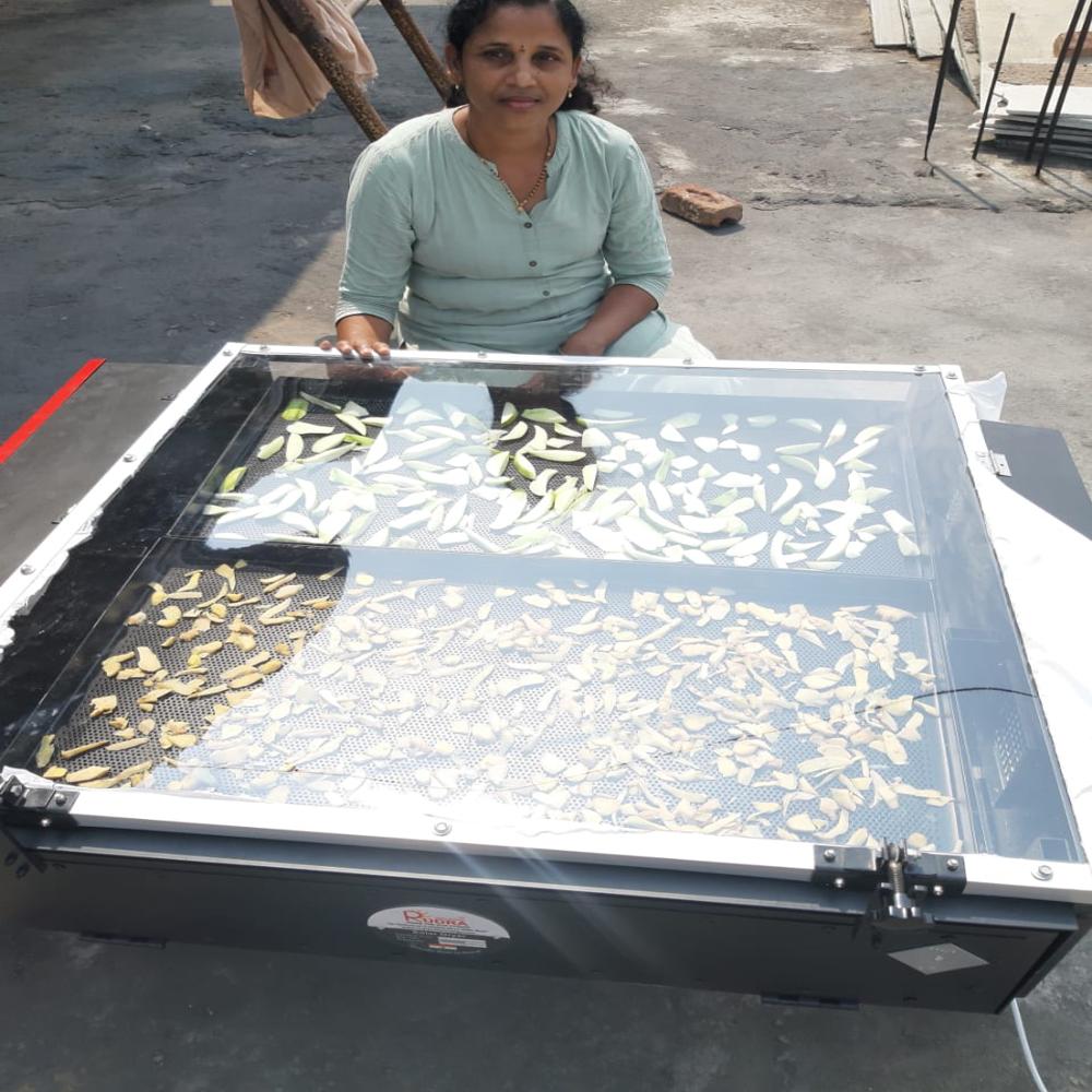 Solar Peas Dryer 