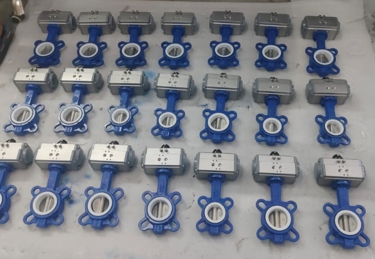 Pneumatic Butterfly Valves