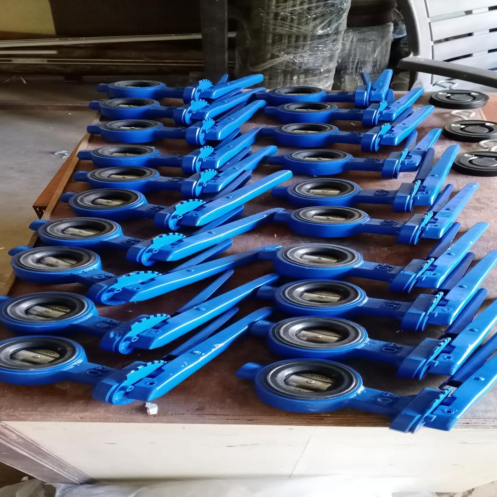 Gear Operated Butterfly Valves