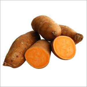 ताजा याम