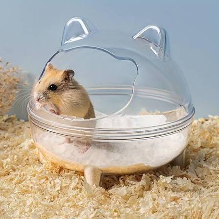 Hamster Bathroom