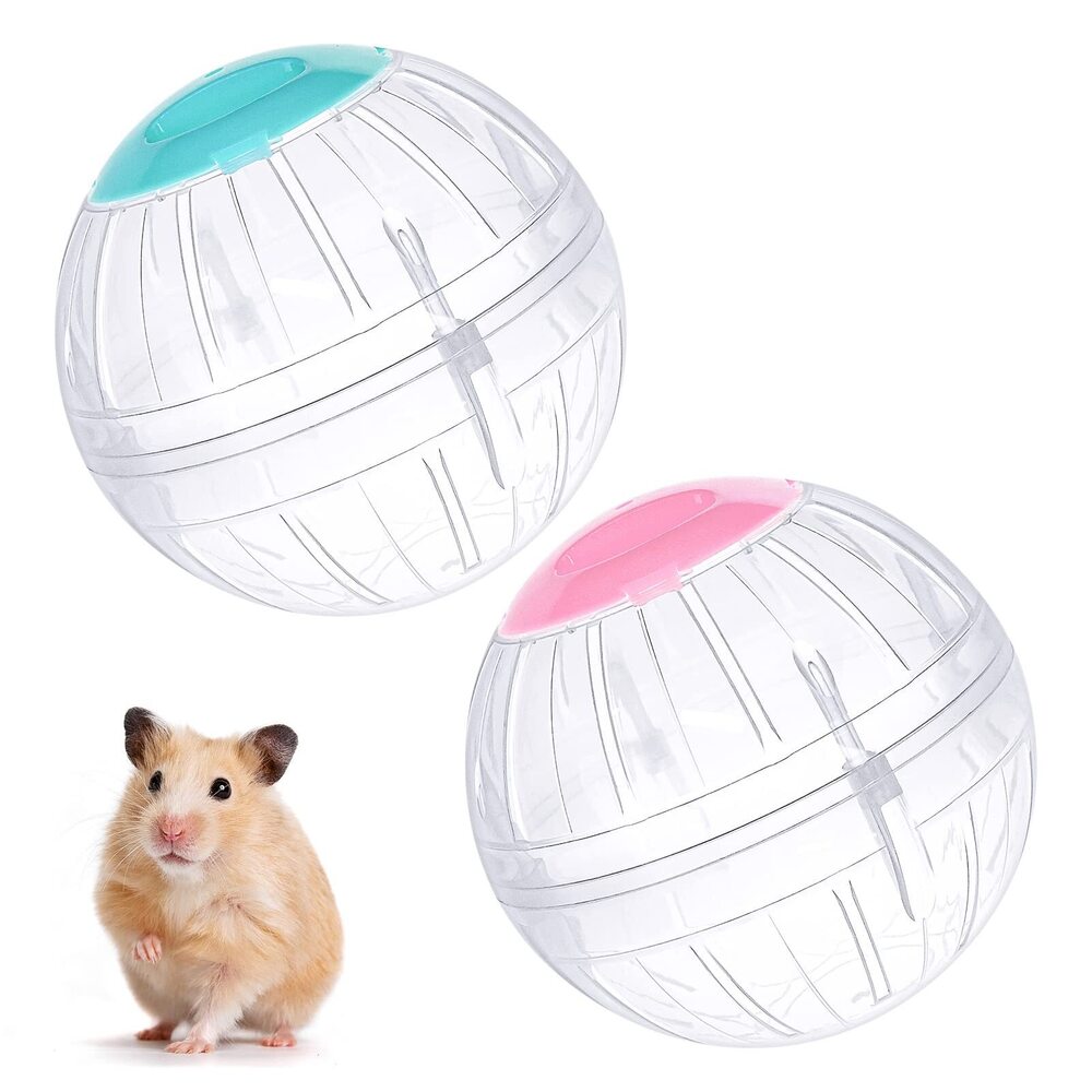 Hamster Exercise Ball