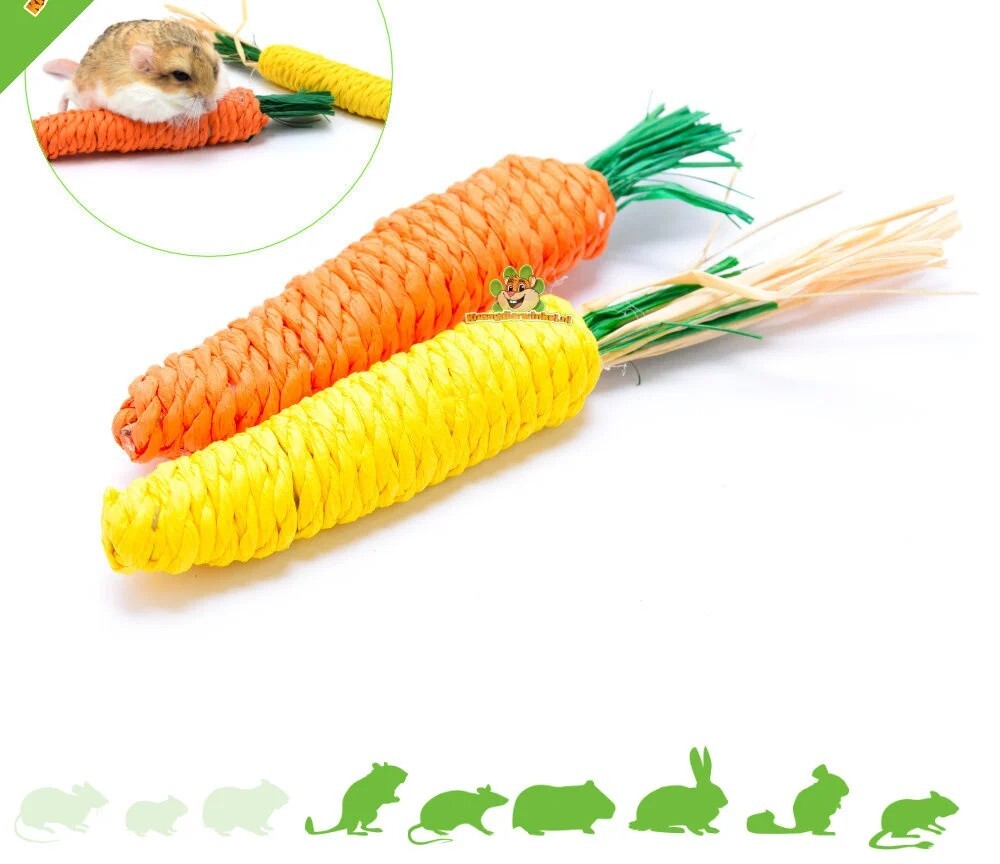 Straw Carrot
