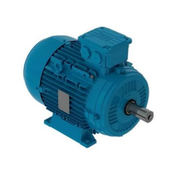 IE3 IEC Haz Loc Motor
