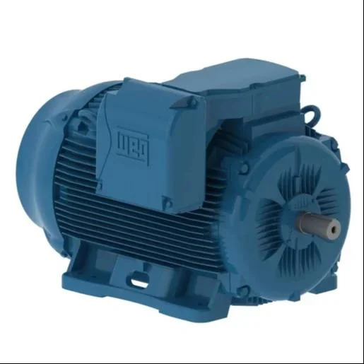 Industrial Refrigeration motor