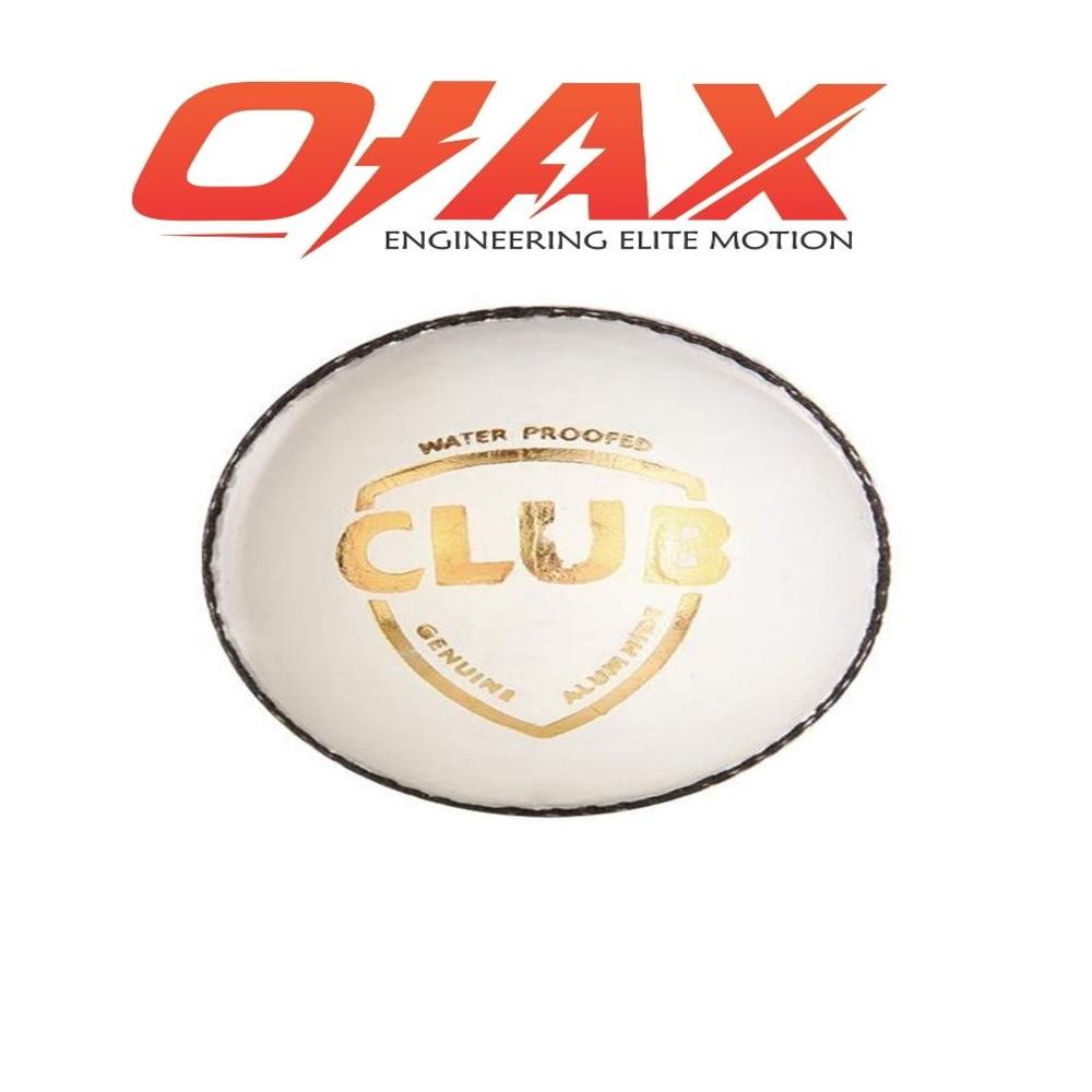 cricket leather ball