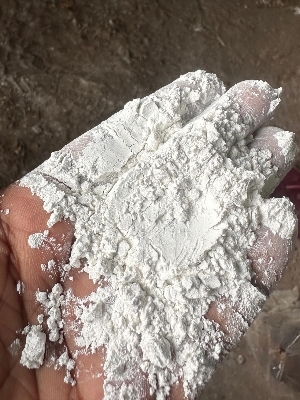 Marble Slurry Powder - Product Type: Minerals