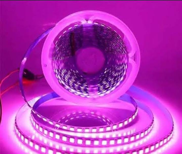240LED PINK STRIP LIGHT