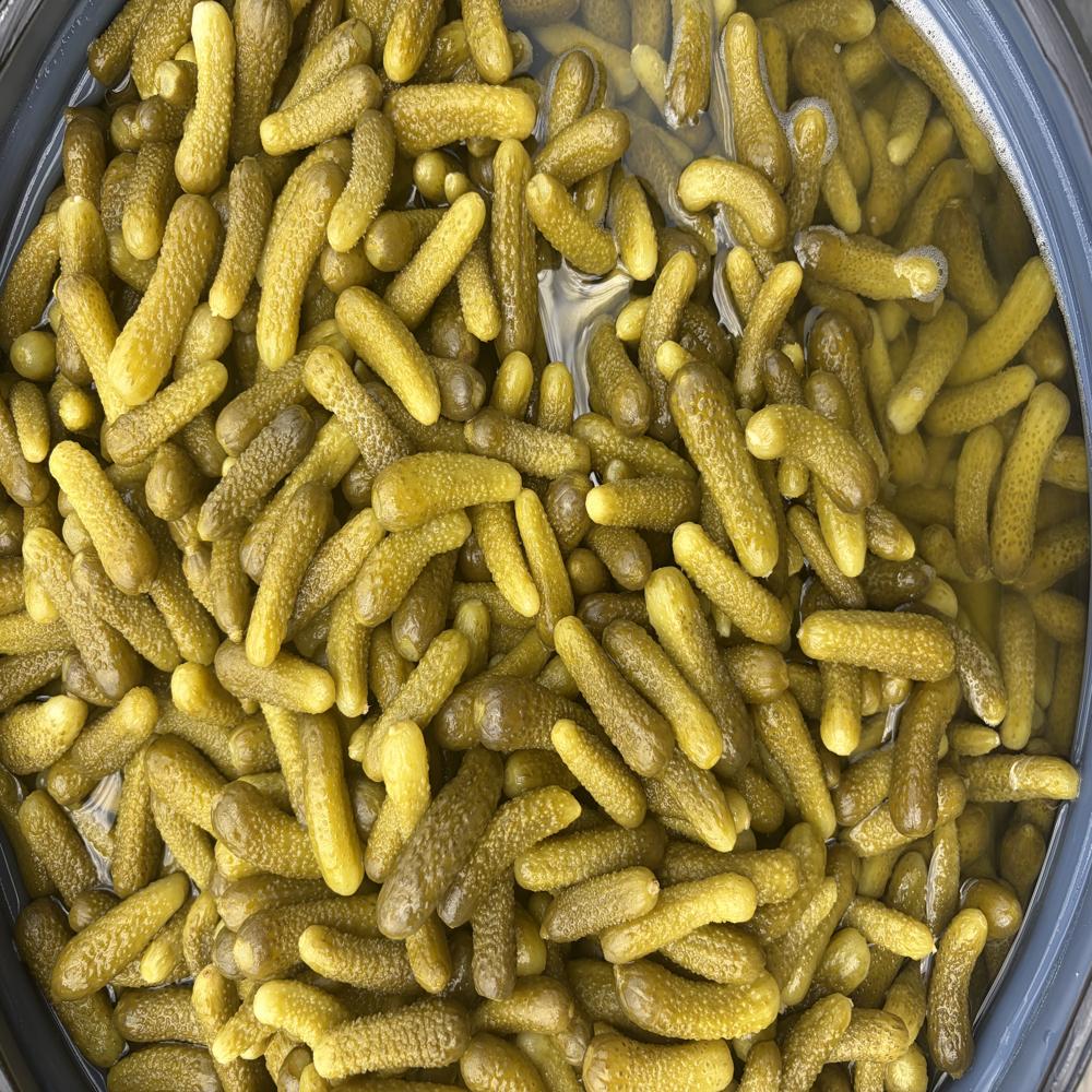 Preserved Gherkins Whole