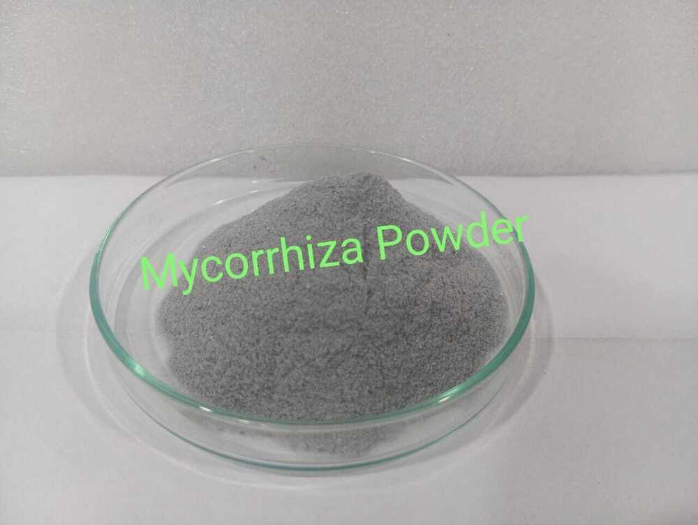 Seed Mycorrhizae Biofertilizer (Powder)