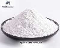 Industrial White Quick Lime Powder