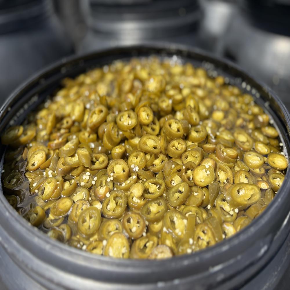 Preserved Sliced Jalapeno Pepper - Cultivation Type: Common