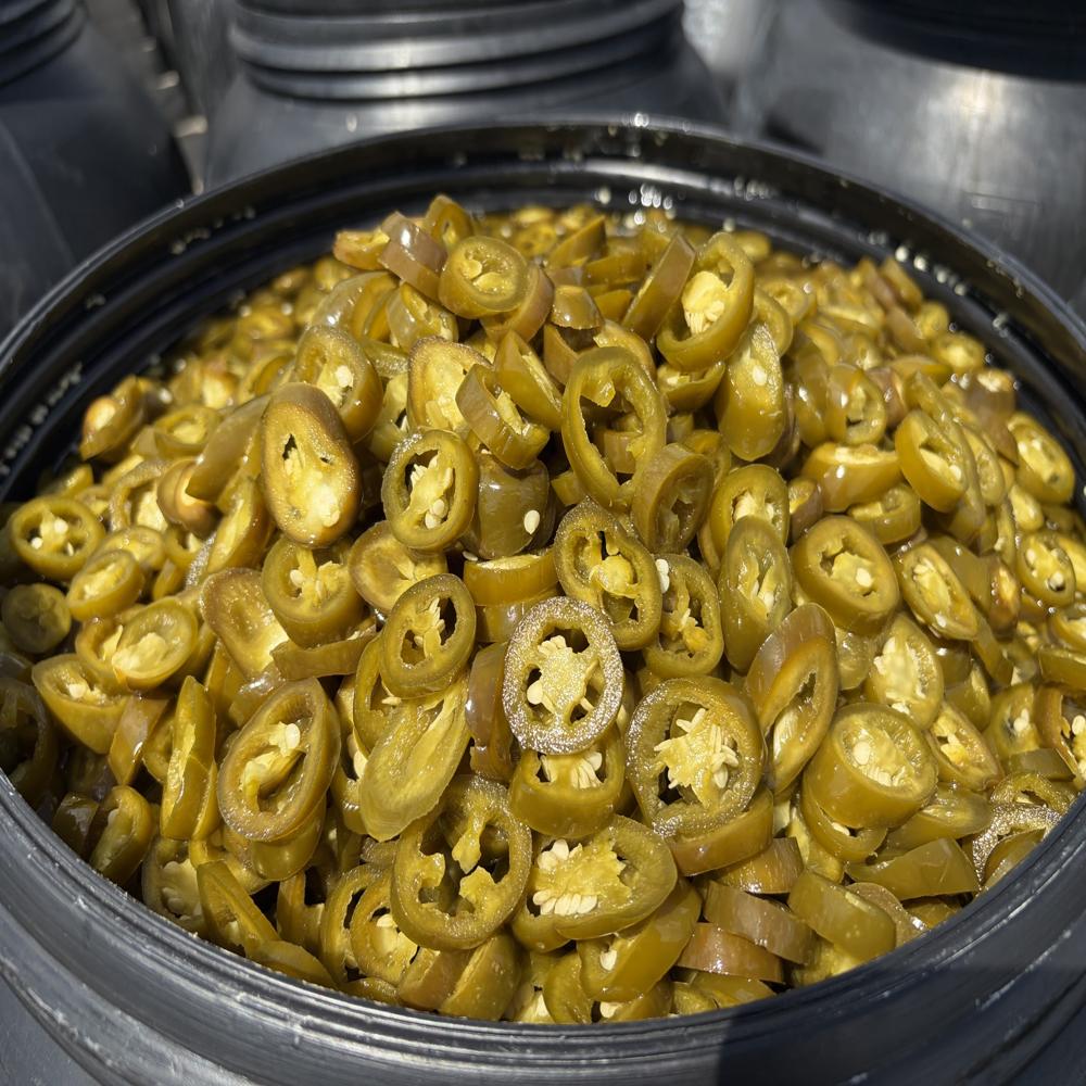 Preserved Jalapeno Pepper - Cultivation Type: Common