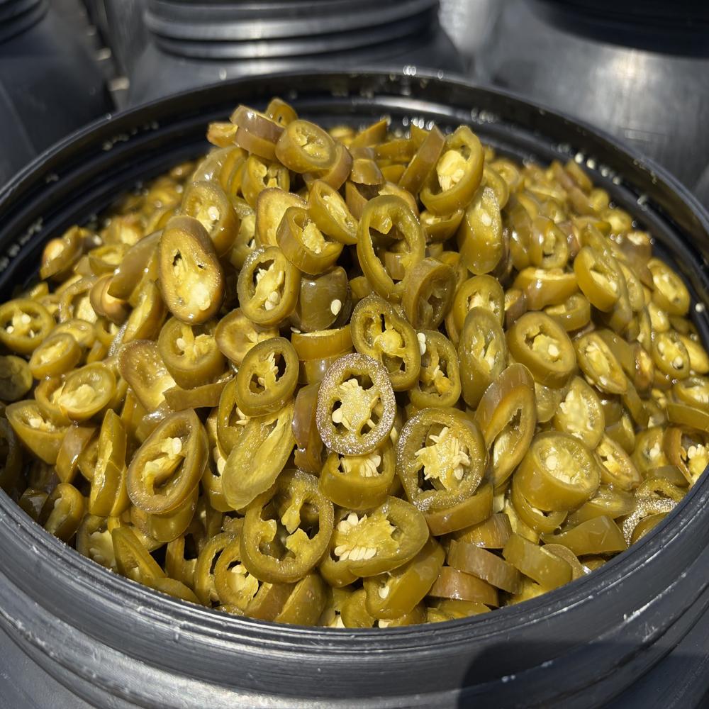 Preserved Sliced Jalapeno Pepper - Cultivation Type: Common