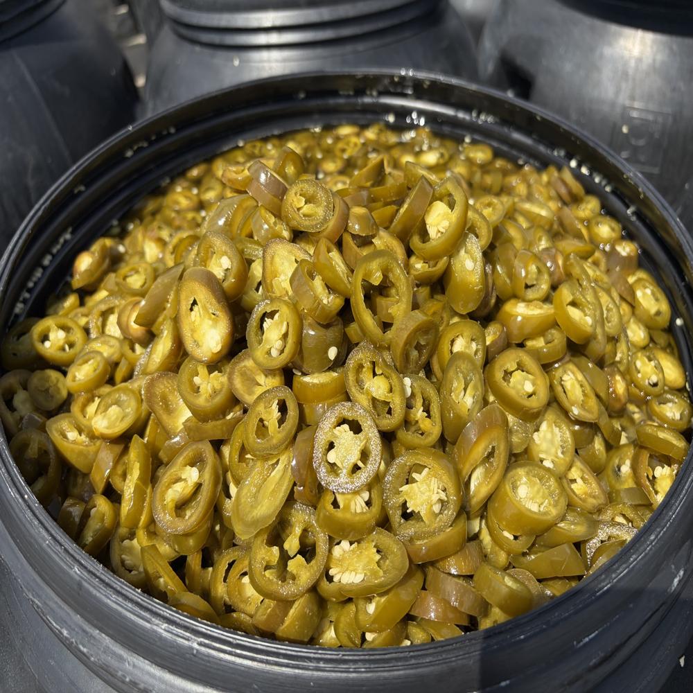 Preserved Jalapeno Pepper - Cultivation Type: Common