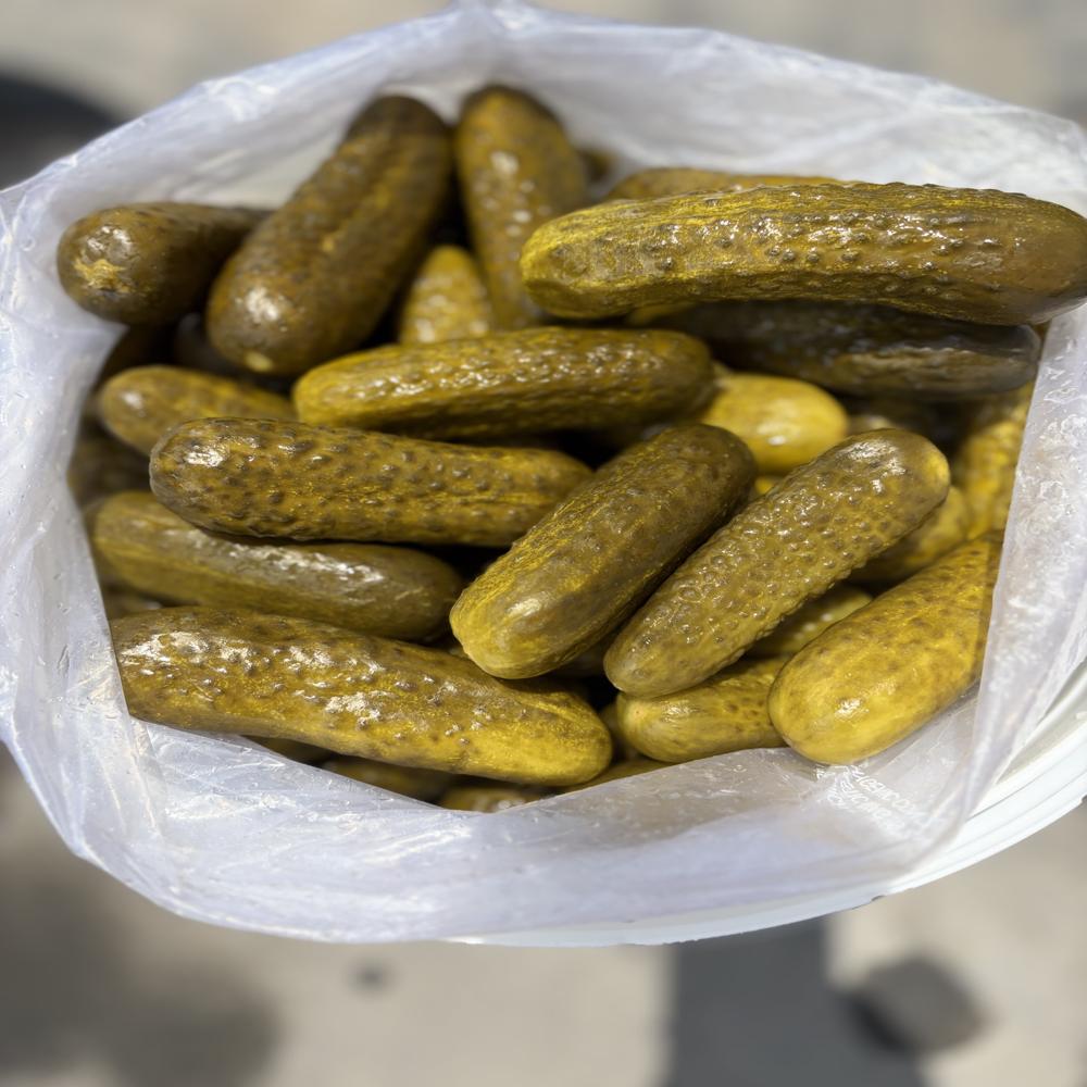 Preserved Gherkins Whole
